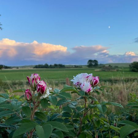 Droemhus Pa Oesterlen Glemminge ภายนอก รูปภาพ